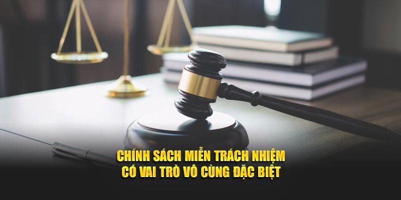 Chính sách miễn trách nhiệm có vai trò vô cùng đặc biệt