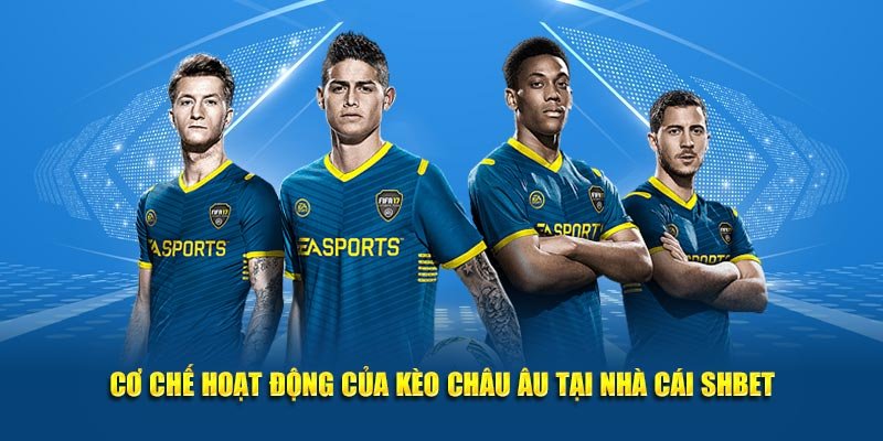 Cơ chế hoạt động của kèo châu Âu tại nhà cái SHBET