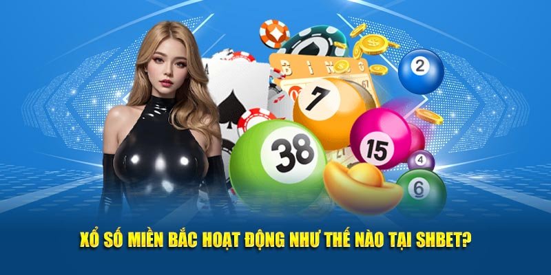 Xổ số miền Bắc hoạt động như thế nào tại SHBET?
