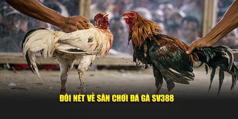 Đôi nét về sân chơi đá gà SV388